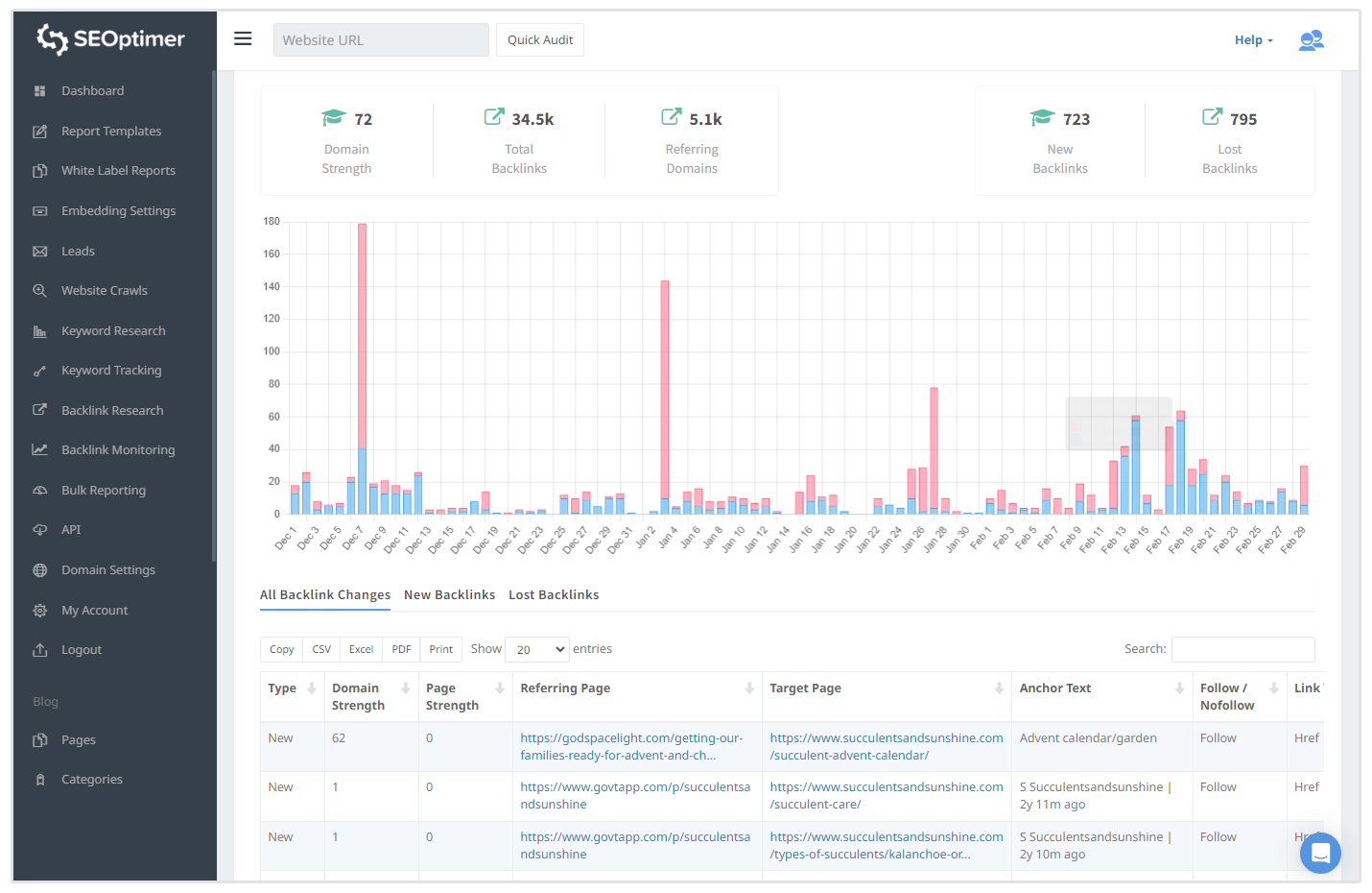 Backlink monitoring